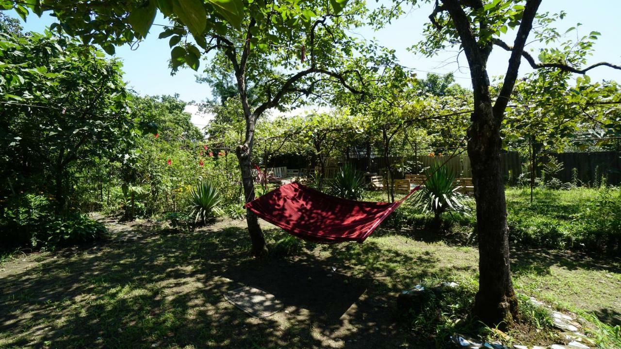 Hotel Horizon Kobuleti Ngoại thất bức ảnh
